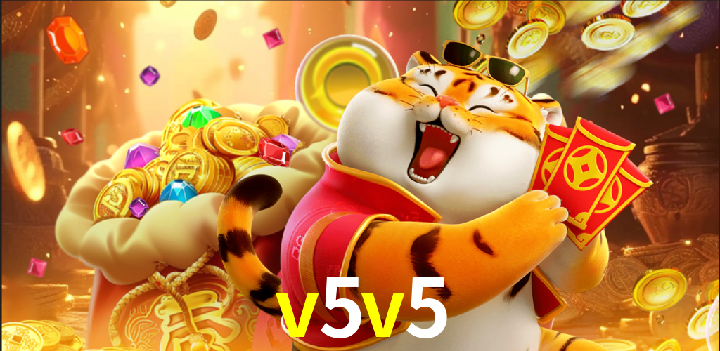 v5v5.com